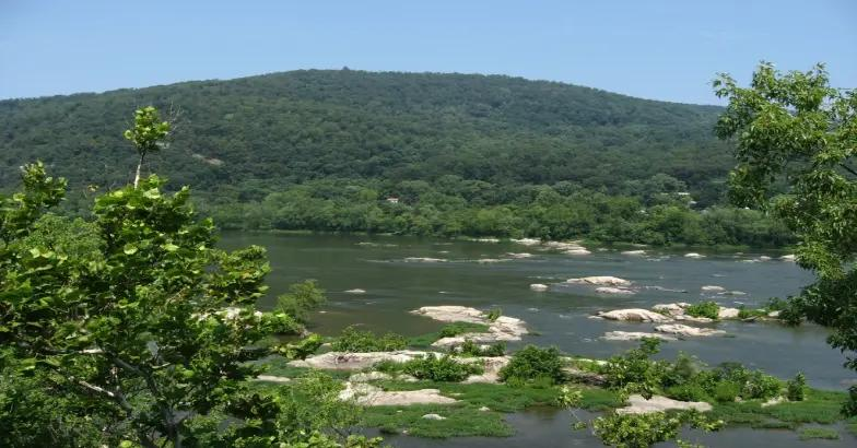 പൊട്ടോമാക് നദിയിലെ മലിനജല ചോർച്ച; പ്രാദേശിക ഭരണകൂടങ്ങളെ വിമർശിച്ച് പ്രസിഡന്റ് ഡൊണാൾഡ് ട്രംപ് നേരിട്ട് ഇടപെടുന്നു