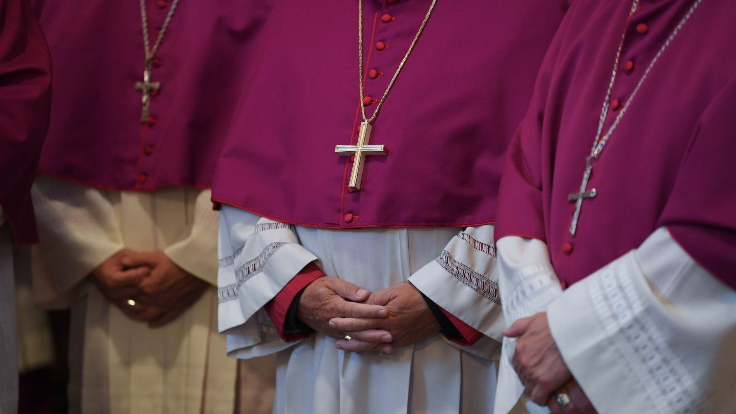 Pope appoints James Golka as new Archbishop of Denver, Colorado