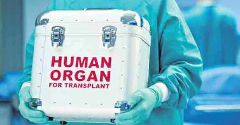 അവയവദാനത്തിൽ മാതൃകയായി കേരളം; ഈ വര്‍ഷം നടന്നത് 77 അവയവമാറ്റ ശസ്ത്രക്രിയകള്‍