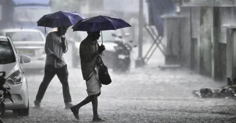 പസഫിക്കിൽ പുകയുന്ന 'എൽ നിനോ'; ഇന്ത്യയിൽ ഇക്കുറി മൺസൂൺ മഴ കുറയും, കാലാവസ്ഥാ മുന്നറിയിപ്പ്