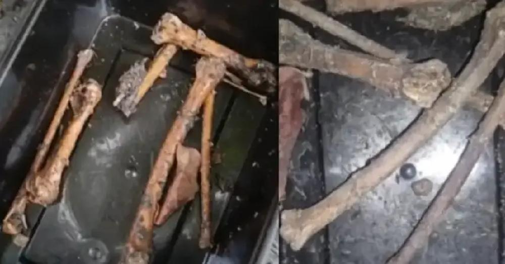 കിണറ്റില്‍ കല്ലുകെട്ടി താഴ്ത്തിയ നിലയില്‍ അസ്ഥികളും സ്ത്രീയുടെ അടിവസ്ത്രവും കണ്ടെത്തി; അന്വേഷണം അന്വേഷണം ആരംഭിച്ചു