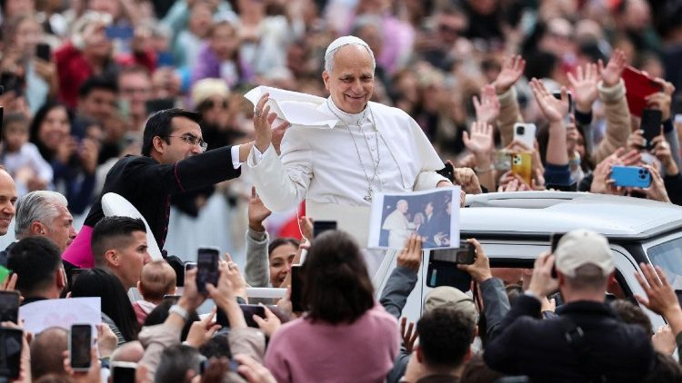 Pope at Audience: 'The Church has mission to speak out against all that mortifies life'