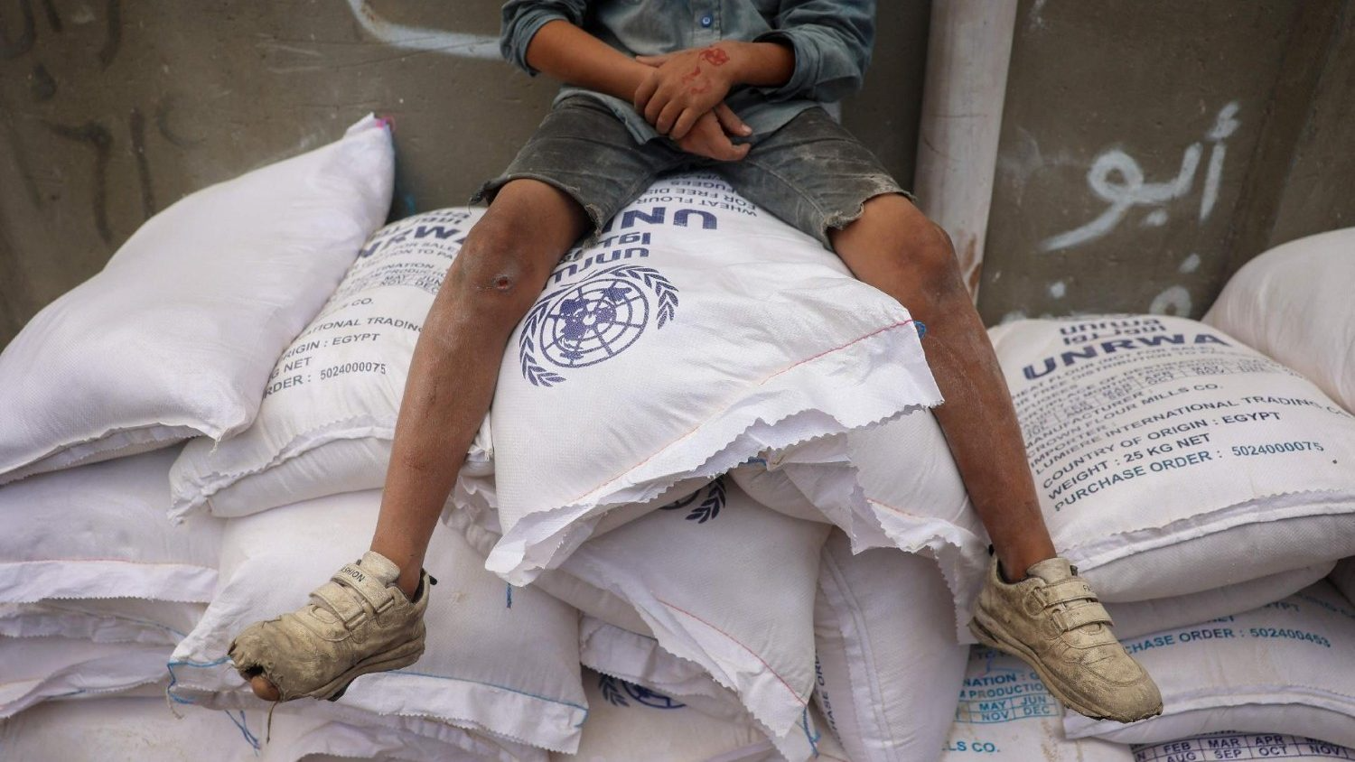 Holy See calls obstruction of aid in Gaza a grave violation of humanitarian law