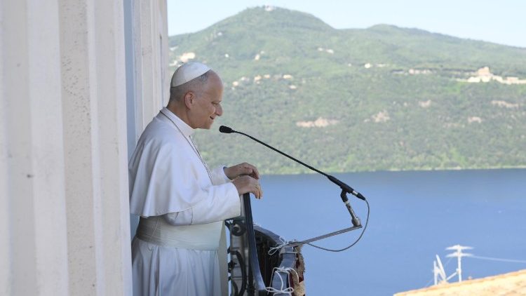 The Pope always speaks as a Shepherd