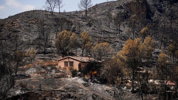 Bishop of Almería: Let us be God's hands for those who suffer