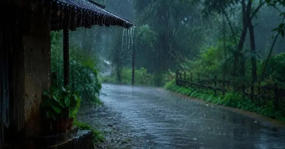വടക്കൻ കേരളത്തിൽ മഴ ശക്തി പ്രാപിക്കുന്നു; നാല് ജില്ലകളിൽ യെല്ലോ അലർട്ട്