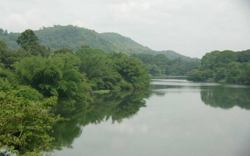 പെരിയാറിലേക്ക് മാലിന്യം: എടയാറിലെ രണ്ട് കമ്ബനികള്‍ പൂട്ടാൻ ഉത്തരവ്