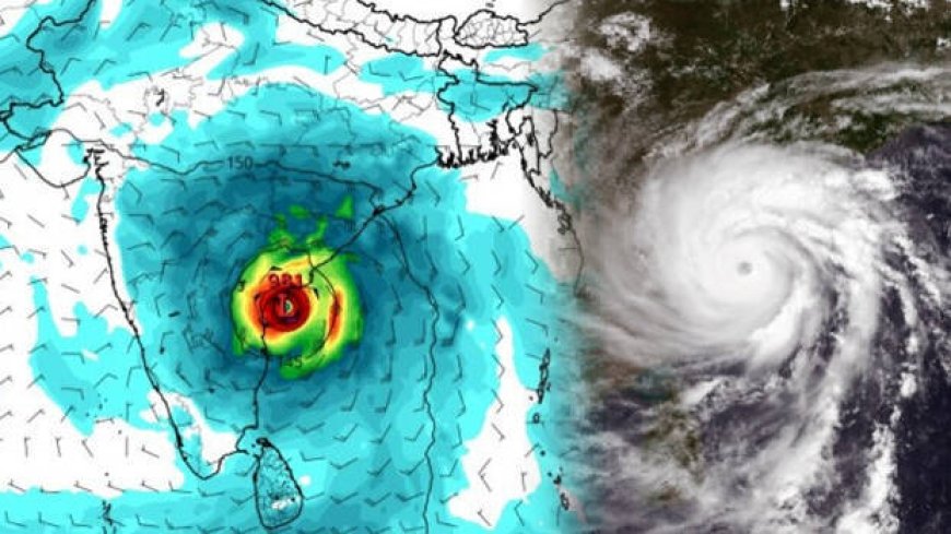 ടൈഫൂണ്‍ ചുഴലികാറ്റ് ; ജപ്പാനില്‍ അരിക്ഷാമം