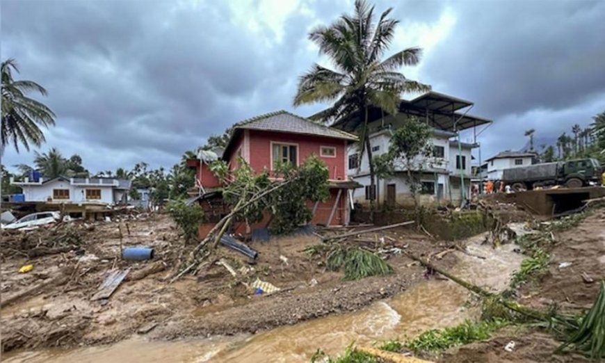 വയനാട് ദുരിതാശ്വാസം; കെ എസ് ഇ ബി ആദ്യഗഡു 10 കോടി രൂപ നല്‍കി