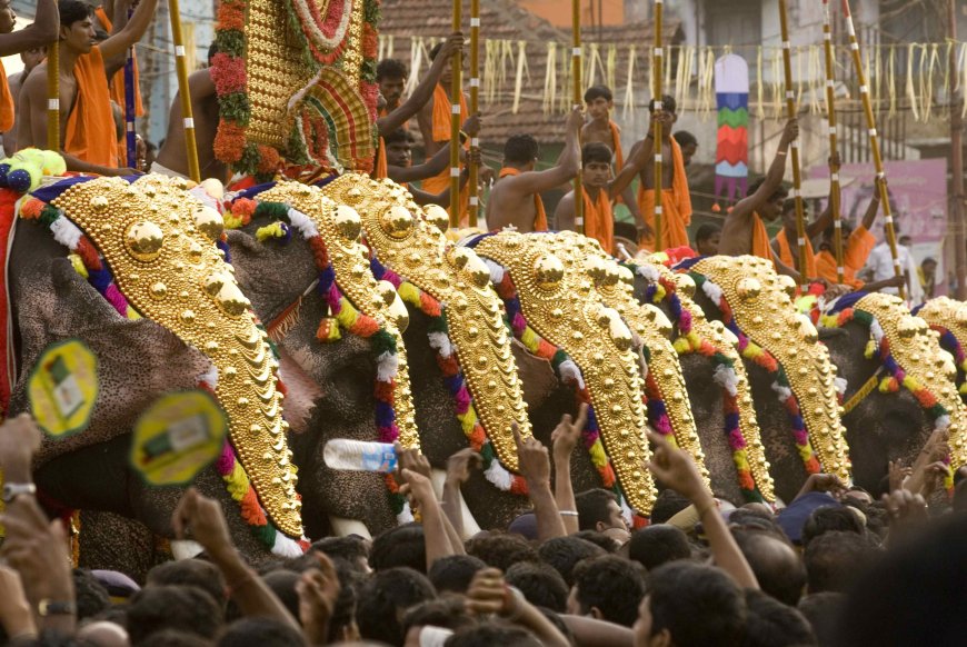 ആന എഴുന്നള്ളത്ത് അനിവാര്യ മതാചാരമല്ലെന്ന് ആവര്‍ത്തിച്ച് ഹൈക്കോടതി